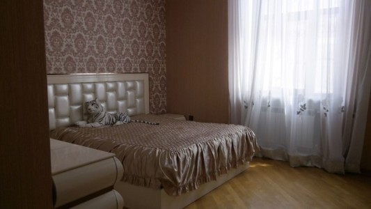 image 376091