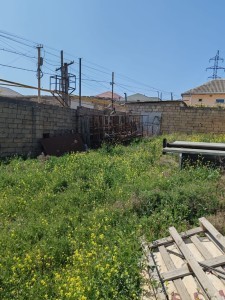 image 376104