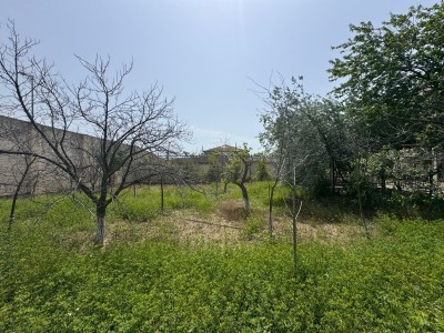 image 376106