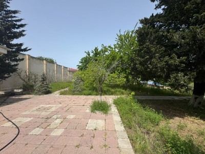 image 376106