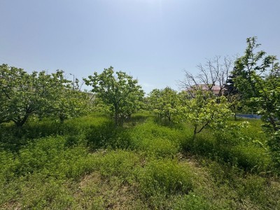 image 376106
