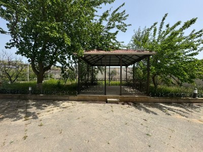 image 376106