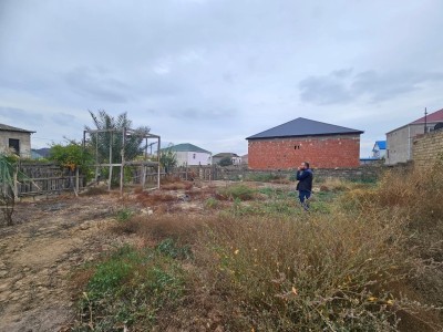image 376114