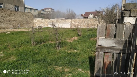 image 376114