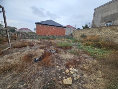 image 376114