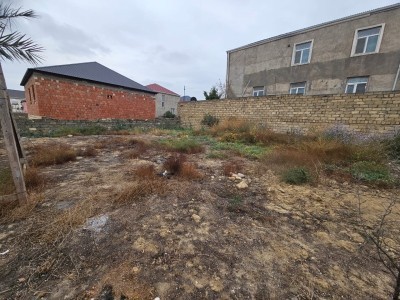 image 376114