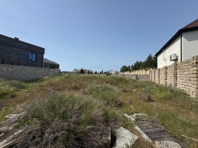 image 376117