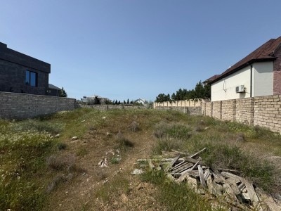 image 376117