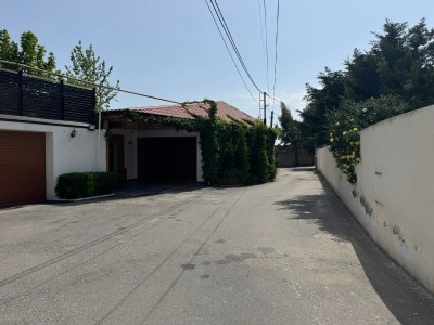 image 376117
