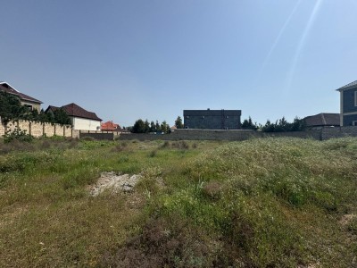 image 376120