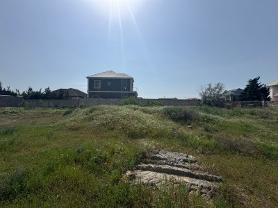 image 376120