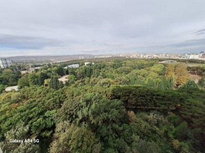image 376128