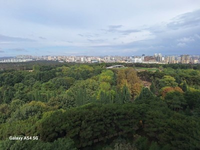 image 376128