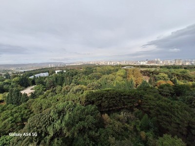 image 376128