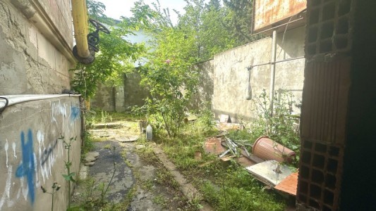 image 376131