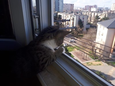 image 376138
