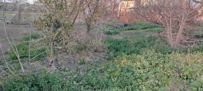 image 376147