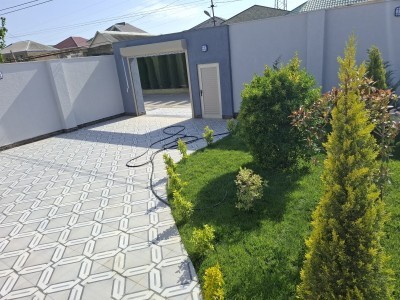 image 376149