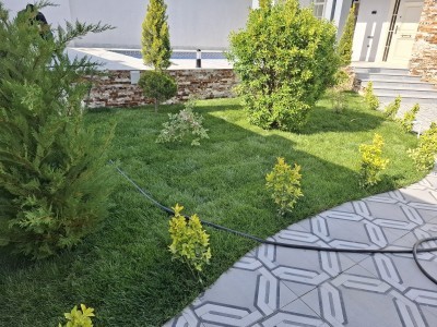 image 376149