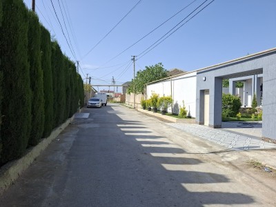 image 376149