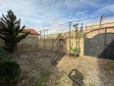 image 376168