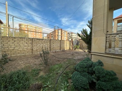 image 376168