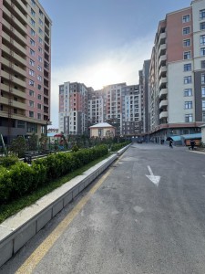 image 376175