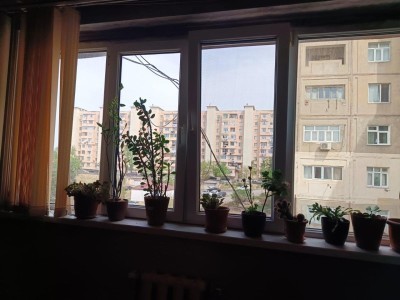 image 376185