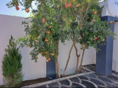 image 376195