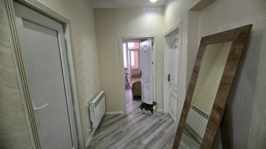image 376211
