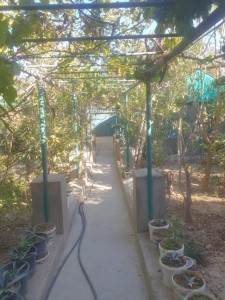 image 376241