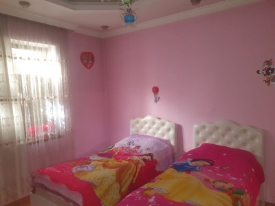 image 376241