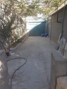 image 376241