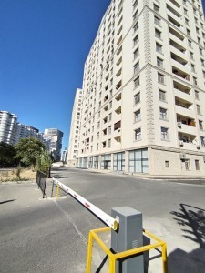 image 376243