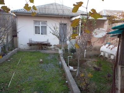 image 376247