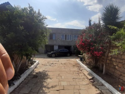 image 376265