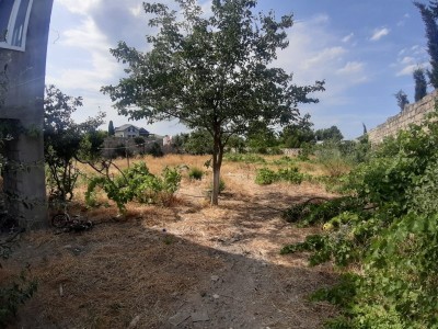 image 376265