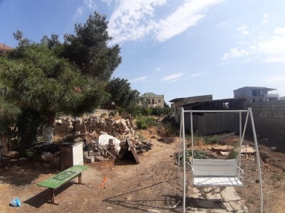 image 376265