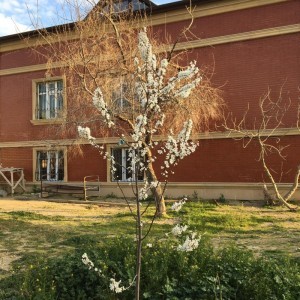 image 376277
