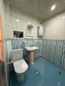 image 376282