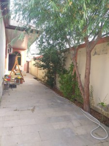 image 376295