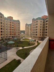 image 376298