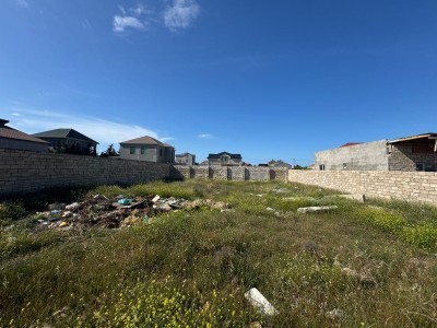 image 376301