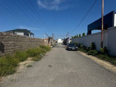 image 376301
