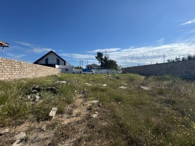 image 376301