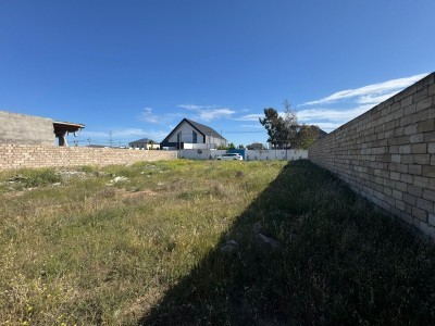 image 376301