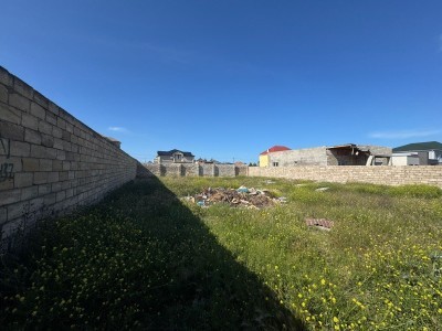 image 376301