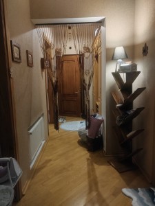 image 376304