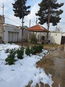 image 376308