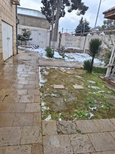 image 376308